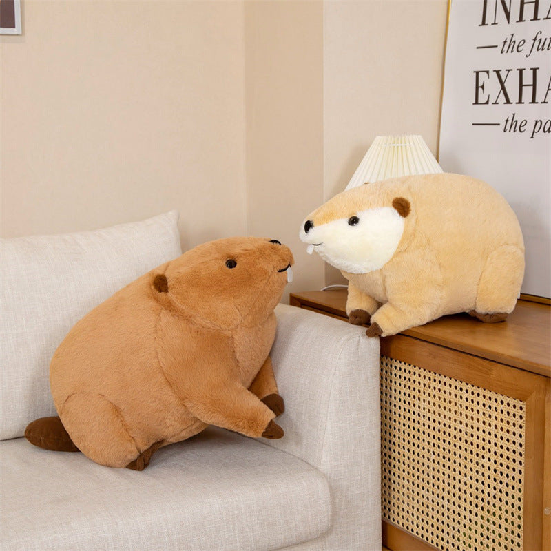 Cuteeeshop Gate Tooth Sea Otter Stuffed Animal Kawaii Plush Pillow Squish Toy