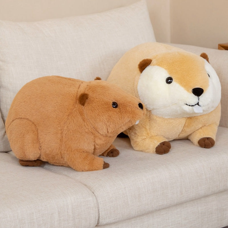 Cuteeeshop Gate Tooth Sea Otter Stuffed Animal Kawaii Plush Pillow Squish Toy