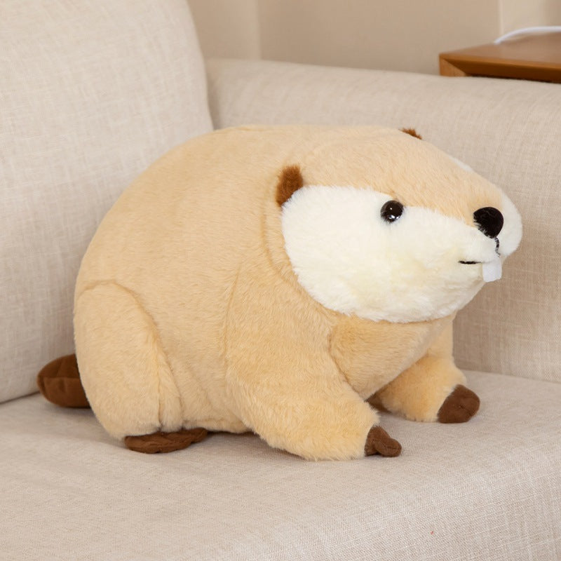 Cuteeeshop Gate Tooth Sea Otter Stuffed Animal Kawaii Plush Pillow Squish Toy