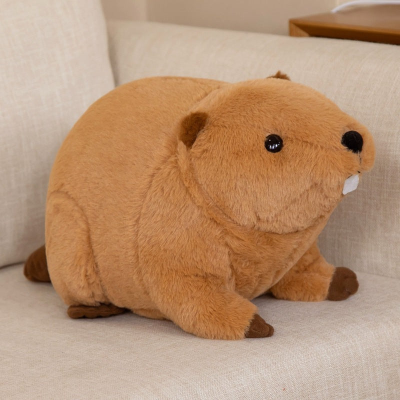 Cuteeeshop Gate Tooth Sea Otter Stuffed Animal Kawaii Plush Pillow Squish Toy